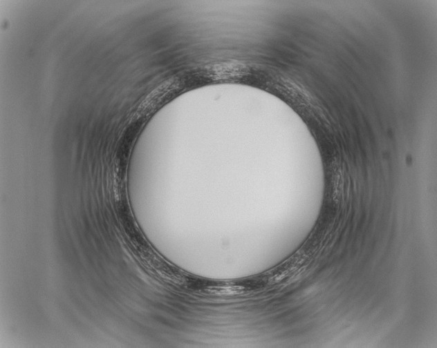 X0000059800316200510210903