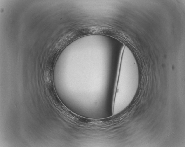 X0000059800317200510210903