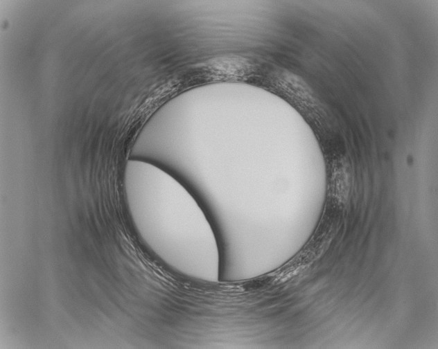 X0000059800318200510210903