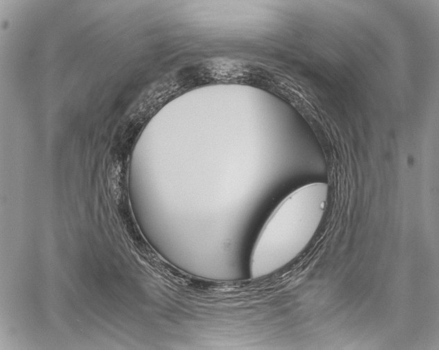 X0000059800319200510210903