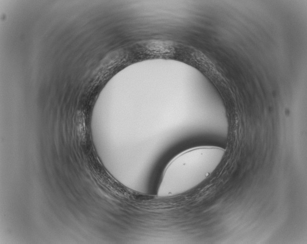 X0000059800320200510210903