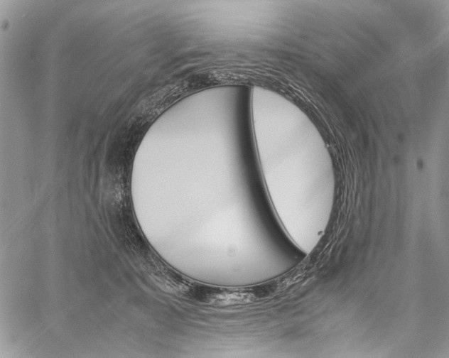 X0000059800323200510210903