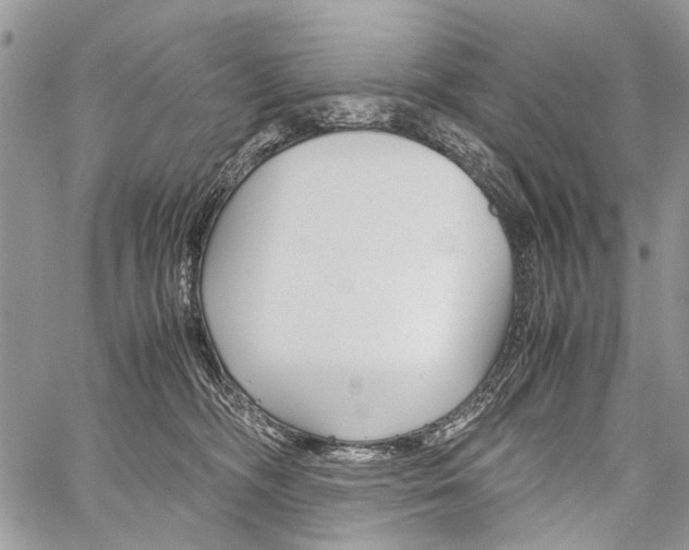 X0000059800326200510210903