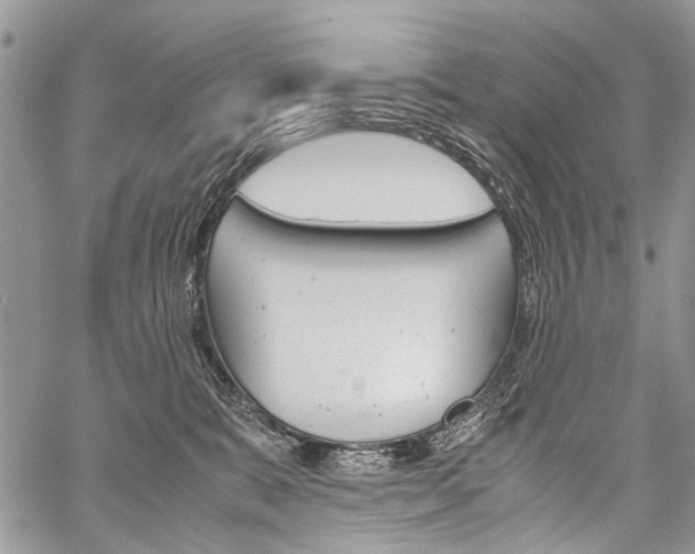 X0000059800327200510210903