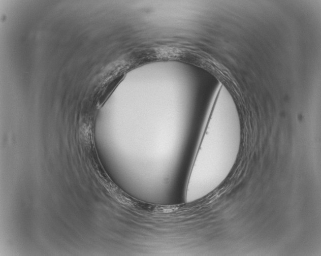 X0000059800329200510210903