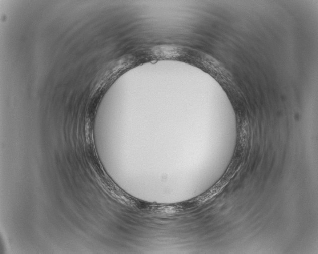 X0000059800330200510210903