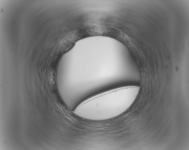 X0000059800331200510210903