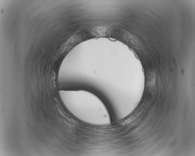 X0000059800332200510210903