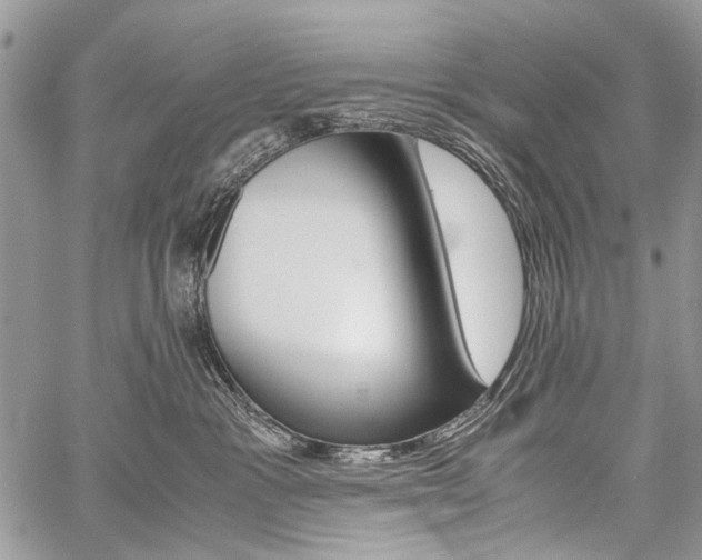 X0000059800333200510210903