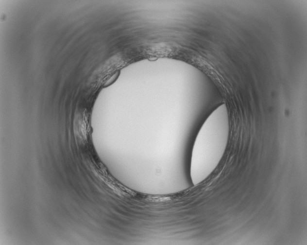 X0000059800334200510210903