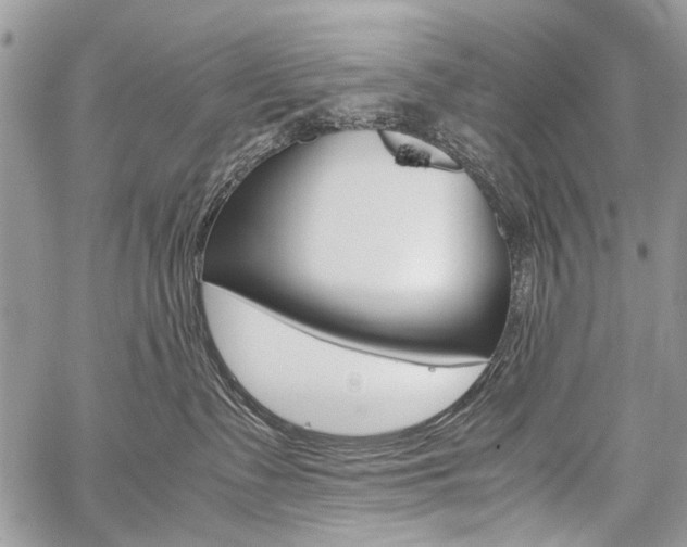 X0000059800335200510210903