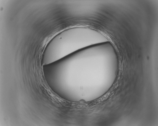 X0000059800337200510210902