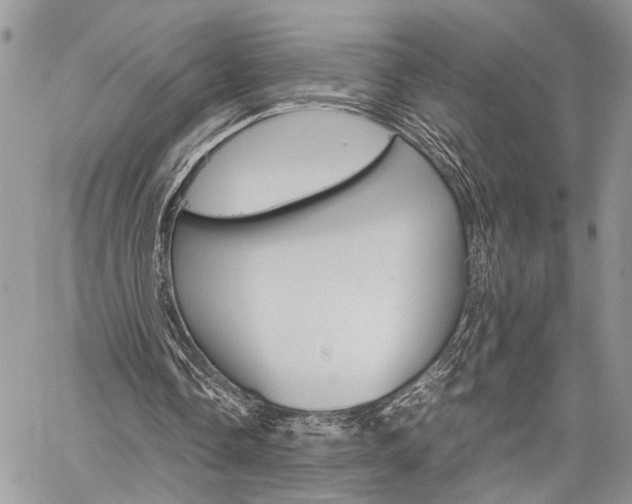 X0000059800338200510210902