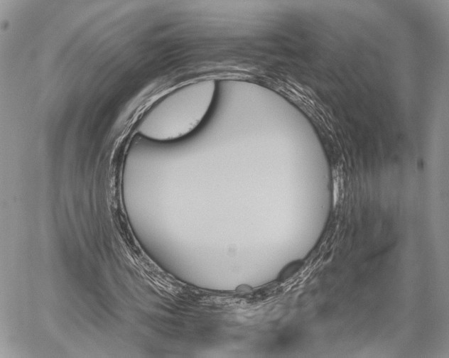 X0000059800339200510210902