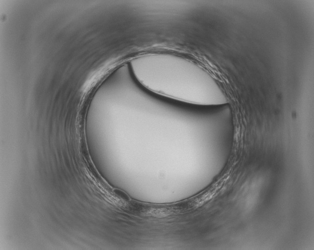 X0000059800341200510210902