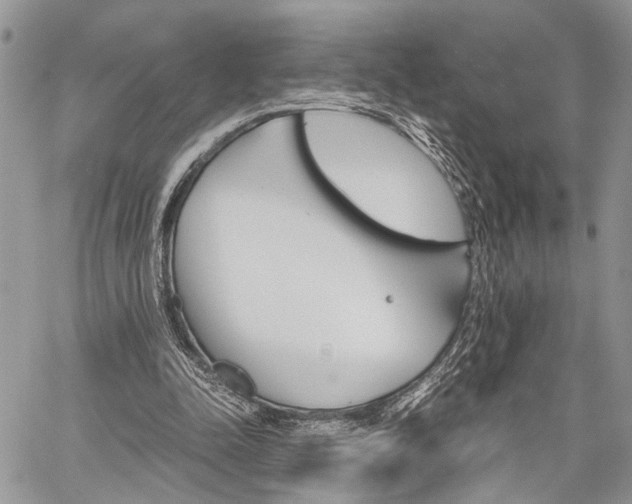 X0000059800342200510210902