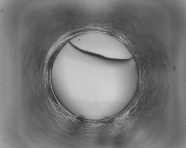 X0000059800343200510210902