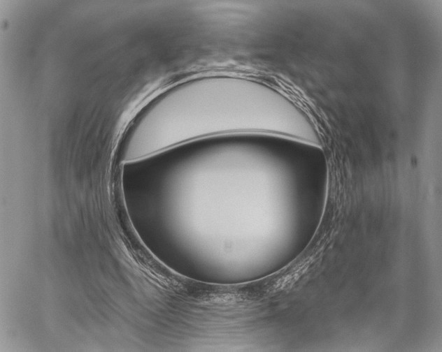 X0000059800344200510210902