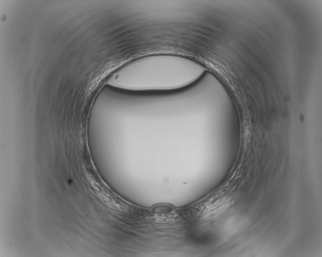 X0000059800345200510210902