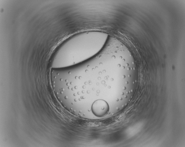 X0000059800346200510210902