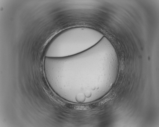 X0000059800347200510210902