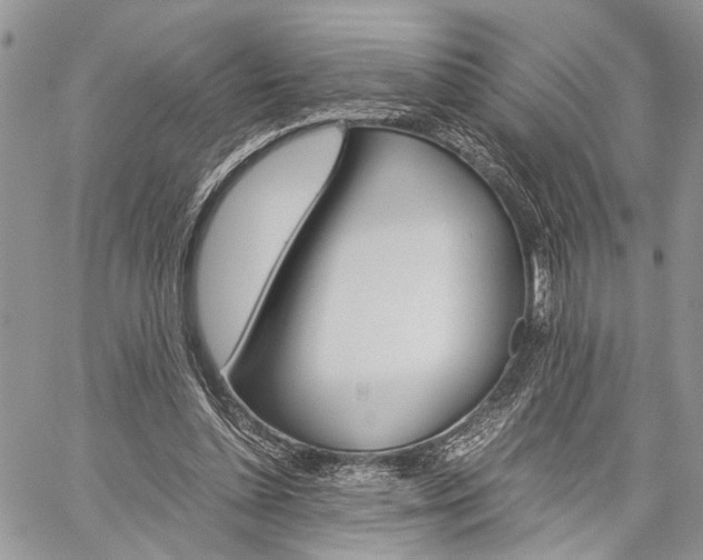 X0000059800348200510210902