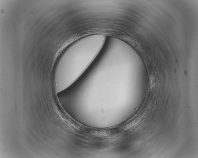 X0000059800349200510210902