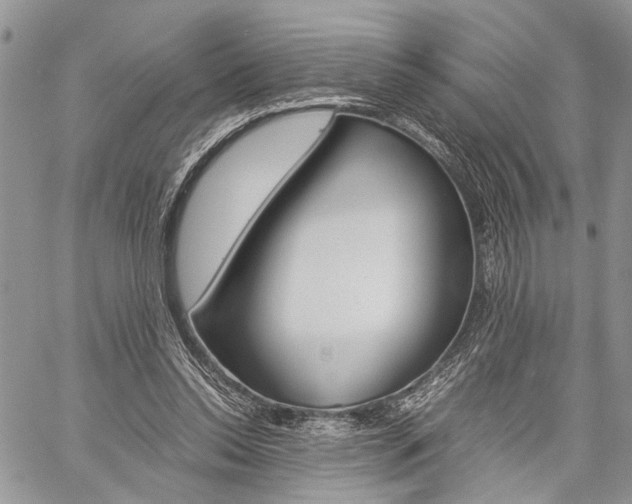 X0000059800350200510210902