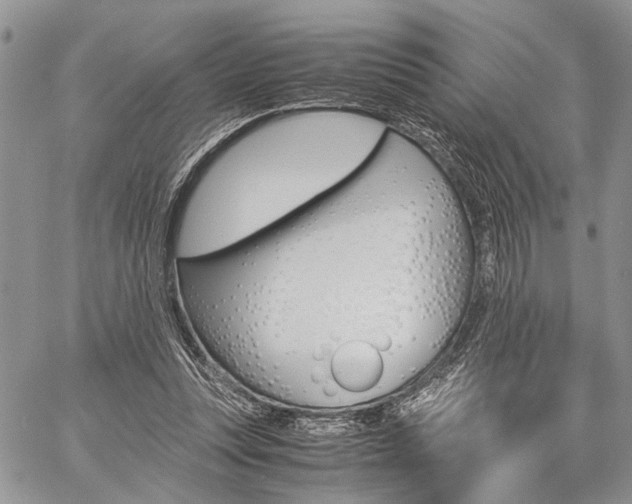 X0000059800351200510210902