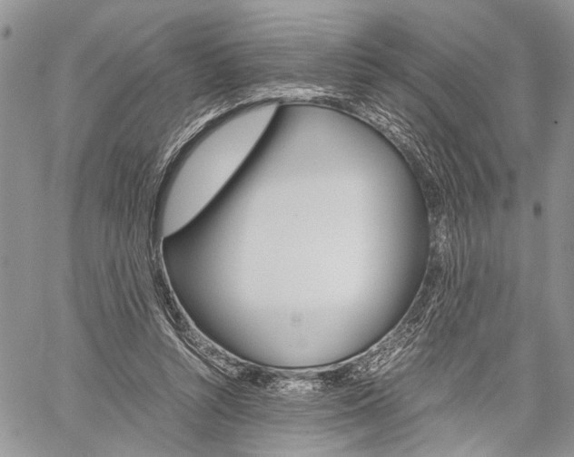 X0000059800352200510210902