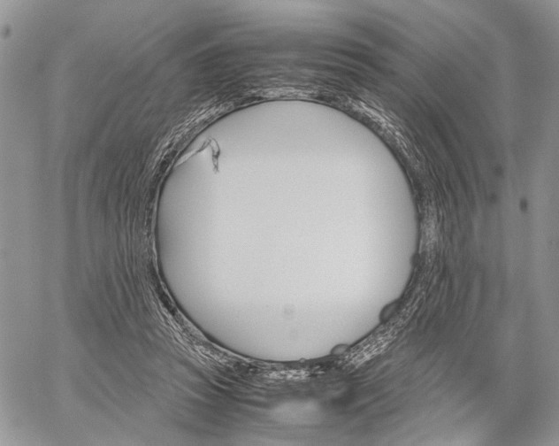 X0000059800353200510210902