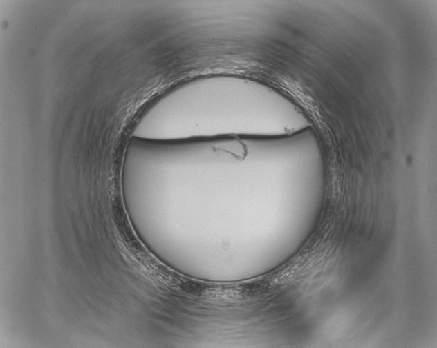 X0000059800354200510210902