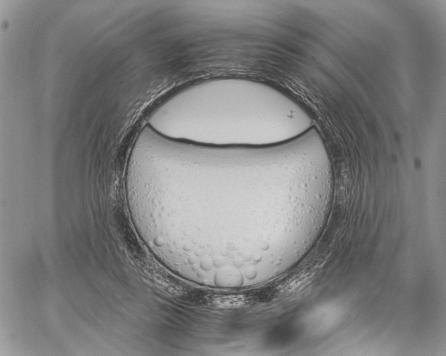 X0000059800355200510210902