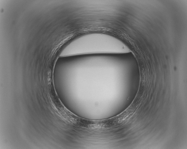 X0000059800356200510210902