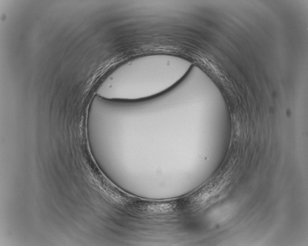 X0000059800357200510210902