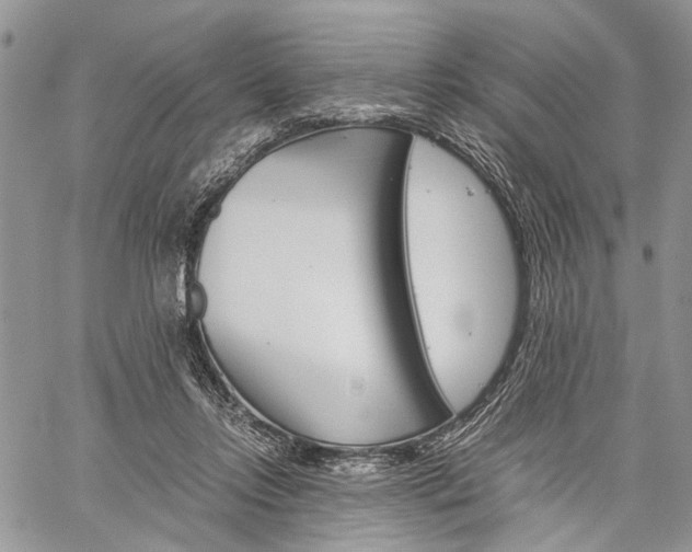 X0000059800358200510210902