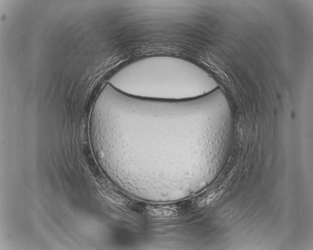 X0000059800359200510210902