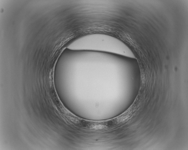 X0000059800360200510210903