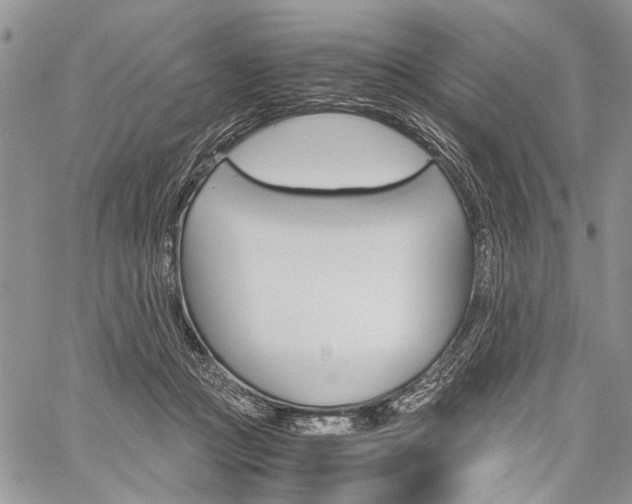 X0000059800361200510210903