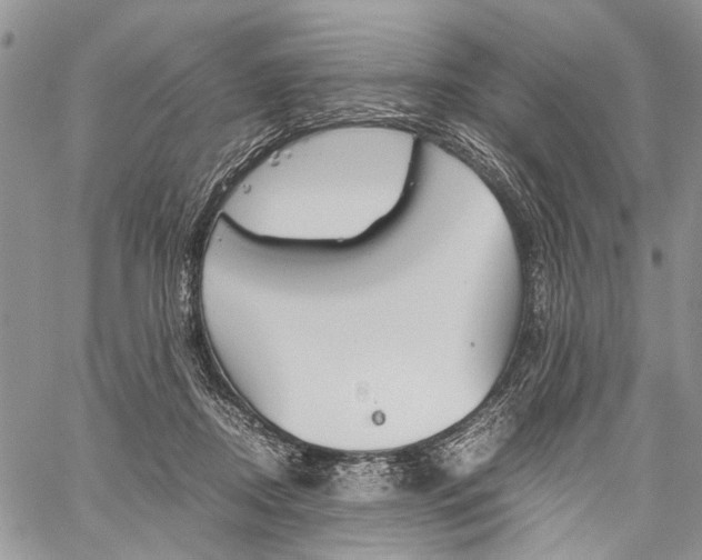 X0000059800362200510210903