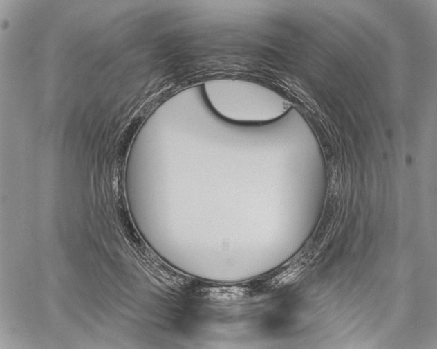 X0000059800363200510210903