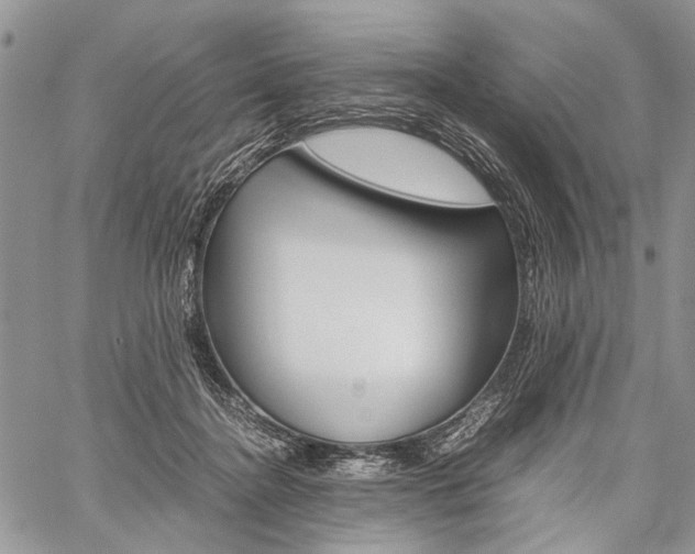 X0000059800364200510210903