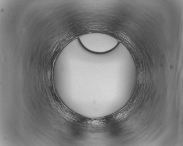 X0000059800365200510210903