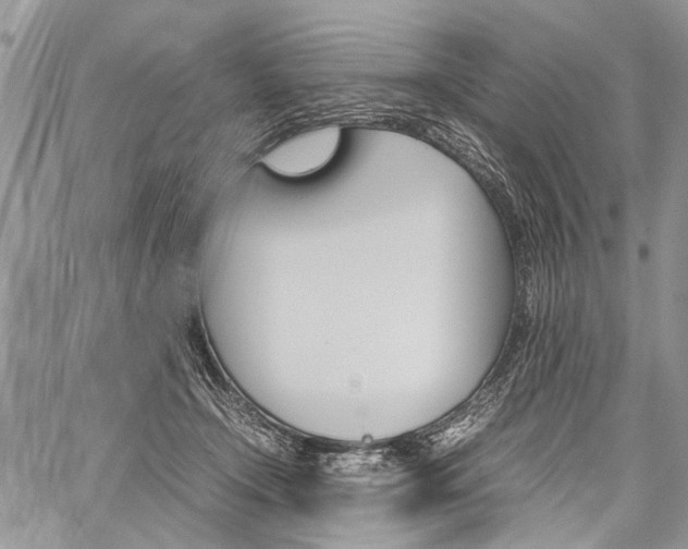 X0000059800366200510210903