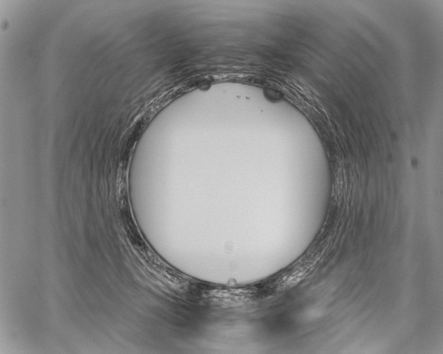 X0000059800367200510210903