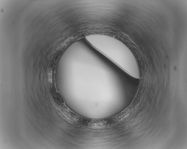 X0000059800368200510210903