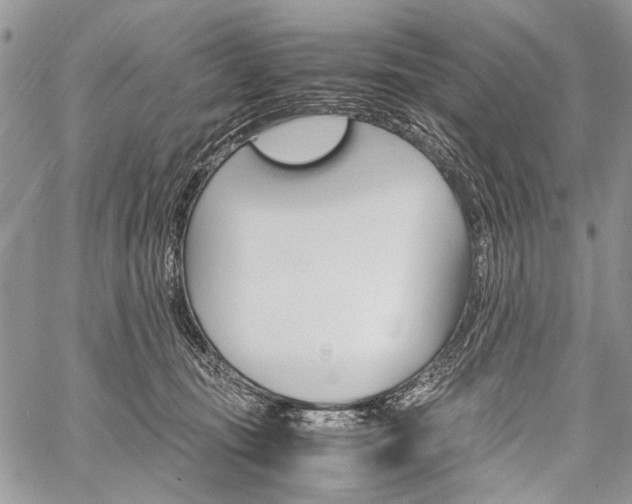 X0000059800371200510210903