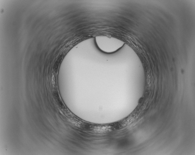 X0000059800375200510210903