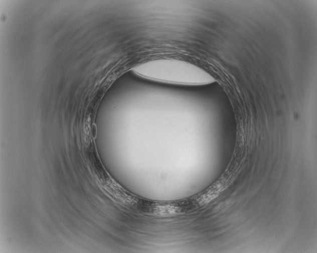 X0000059800376200510210903