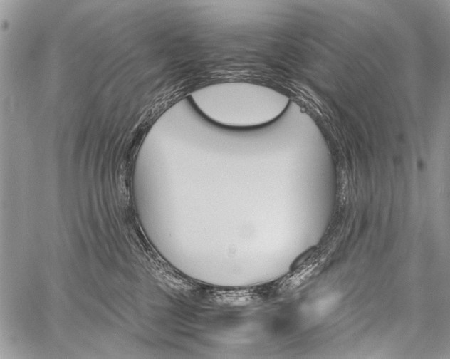 X0000059800377200510210903